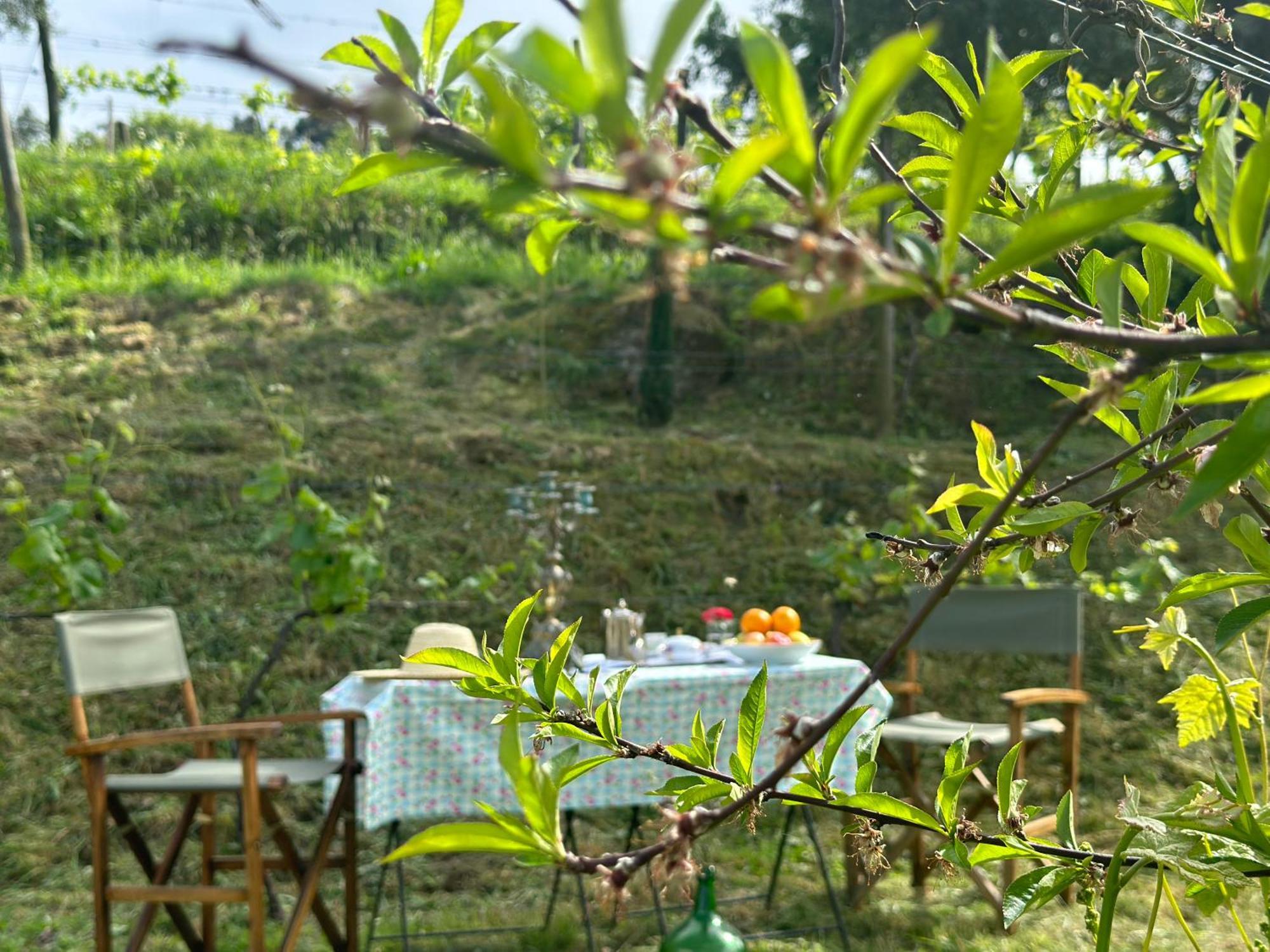 Carmo'S Boutique Hotel - Small Luxury Hotels Of The World Ponte de Lima Eksteriør billede